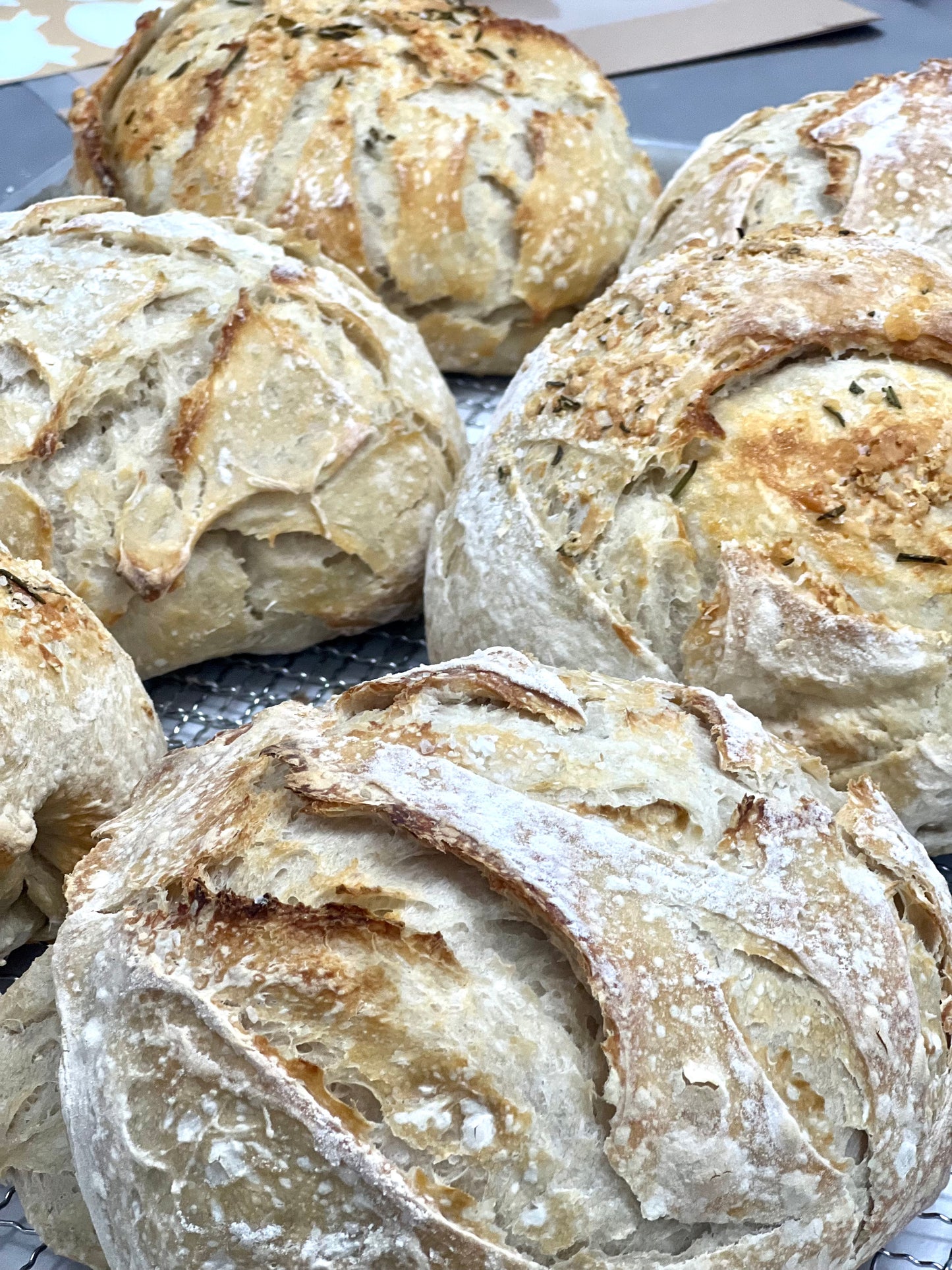 Sour Dough Bread